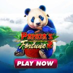 panda fortune 2