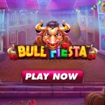 bull fiesta