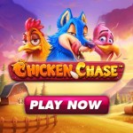 chicken chase