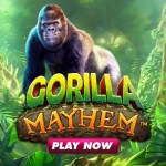 gorilla mayhem